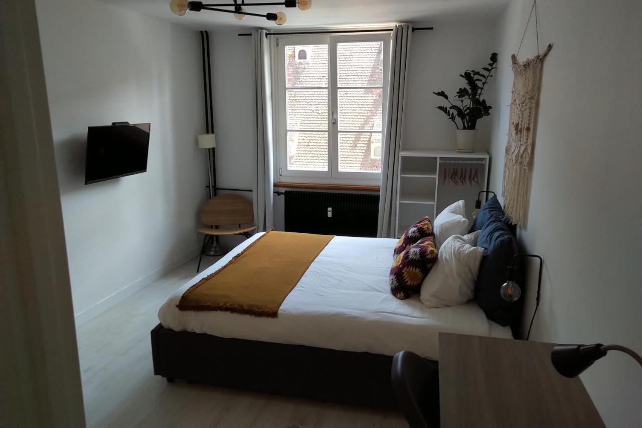 Appartement Spacieux Et Cosy - Strasbourg Centre Ngoại thất bức ảnh